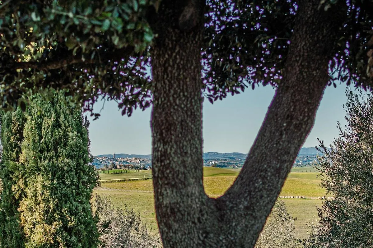 Golden View-Casa Vacanze Appena Ristrutturata Nel Core Della Campagna Toscana Corsano  Italy